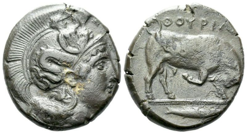 Lucania, Thurium Dinomos circa 410-400, AR 26.00 mm., 14.89 g.
Head of Athena r...