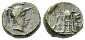 Lucania, Velia Bronze circa II-I century BC