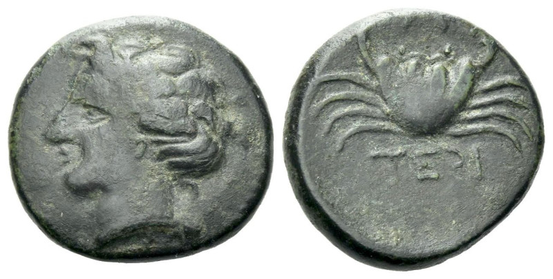 Bruttium, Terina Bronze circa 350-275, Æ 15.00 mm., 3.60 g.
Female head l. Rev....