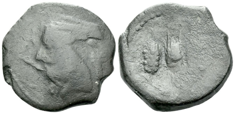 The Carthaginians in Sicily and North Africa, Libyan revolt, Carthage 1½ Shekel ...