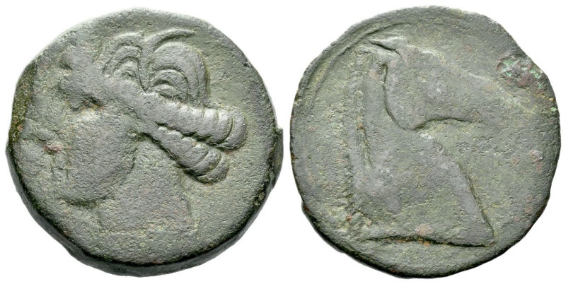 The Carthaginians in Sicily and North Africa, Sardinia Bronze circa 264-241, Æ 2...