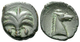 The Carthaginians in Sicily and North Africa, Uncertain mint Bronze circa 340-320