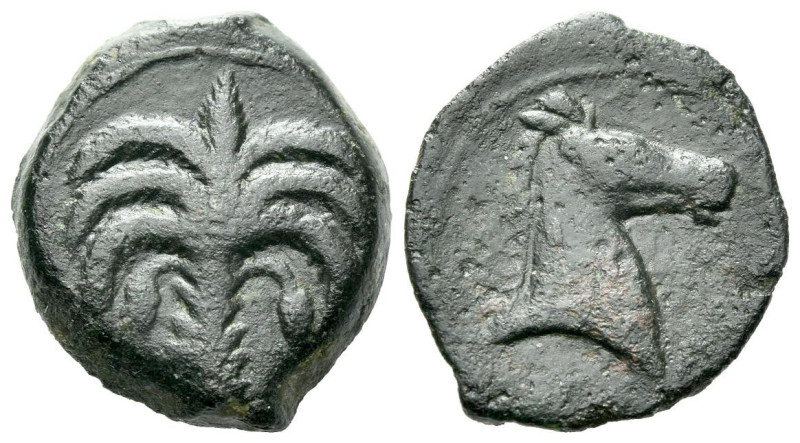 The Carthaginians in Sicily and North Africa, Uncertain mint Bronze circa 340-32...