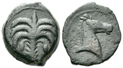 The Carthaginians in Sicily and North Africa, Uncertain mint Bronze circa 340-320