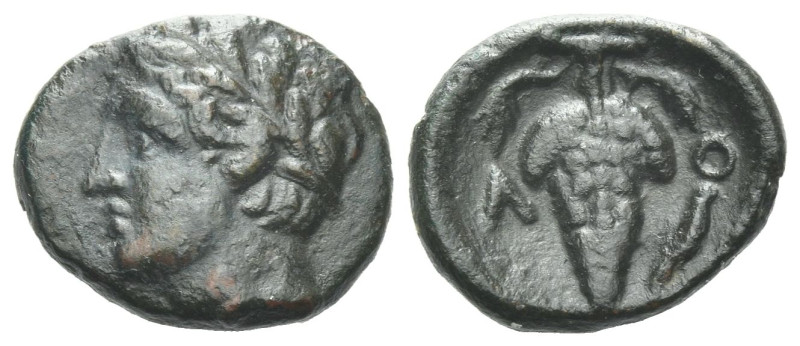 Locris, Locris Bronze Last quarter of IV BC, Æ 13.10 mm., 1.65 g.
Laureate head...