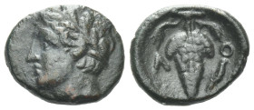 Locris, Locris Bronze Last quarter of IV BC - From the duplicates of the BCD collection.
