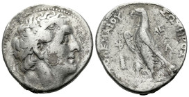 The Ptolemies, Ptolemy II Philadelphos, 285-246 Tetradrachm, Tyre circa 285-246
