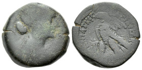 The Ptolemies, Cleopatra VII Thea Neotera, 51-30 Obol - 40 Drachmae circa 51-30