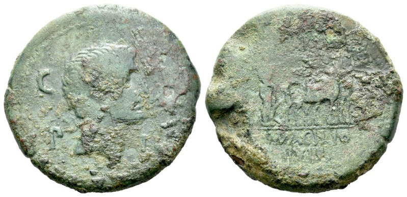 Mysia, Parium M. Barbatius and M. Acilius, duoviri Bronze circa 27 BC-14 AD, Æ 2...