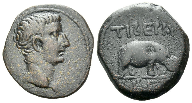Egypt, Alexandria Tiberius, 14-37 Obol circa 18-19 (year 5), Æ 18.90 mm., 4.58 g...