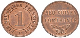 Deutsche Münzen und Medaillen ab 1871 
 Danzig 
 Deutsch-Neuguinea 
 1 Neu-Guinea-Pfennig 1894 A. J. 701.
 vorzüglich-Stempelglanz