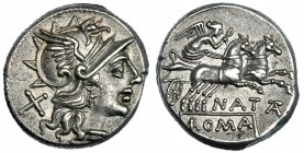 PINARIA. Denario. Roma (155 a.C.). R/ La Victoria con látigo en biga a der., debajo: NATTA, en el exergo: ROMA, en cartela. FFC-965. SB-1. EBC-.