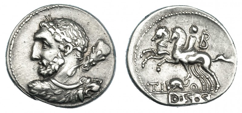 QUINCTIA. Denario. Italia Central (112-111 a.C.). A/ Busto de Hércules a izq. co...