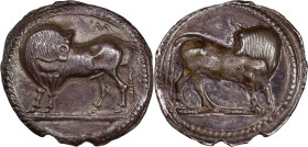 ITALY. Lucania. Sybaris. AR Stater (Nomos) (7.74 gms), ca. 530-510 B.C. NGC Ch EF, Strike: 5/5 Surface: 2/5. Edge Chips.
HGC-1, 1231; HN Italy-1729; ...