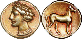ZEUGITANA. Carthage. EL Stater (7.30 gms), ca. 310-270 B.C. NGC VF, Strike: 5/5 Surface: 4/5. Light Marks.
MAA-9; Jenkins & Lewis-Group IV. Obverse: ...