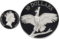 AUSTRALIA. Silver 10 Dollars Piefort, 1990. Elizabeth II. NGC PROOF-69 Ultra Cameo.
KM-P2. An engaging double thick example with the subject Cockatoo...