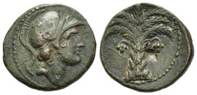 SPAIN. Carthago Nova. Ae (circa 237-209 BC). Carthaginian occupation.

Obv: Male head right, wearing crested Corinthian helmet.
Rev: Date palm tree wi...