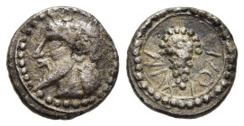 SICILY. Naxos. Litra (circa 510-493 BC). 

Obv: Archaic head of Dionysos to left, with pointed beard and ivy wreath; border of dots. 
Rev: ΝΑΧ - ΙΟΝ B...