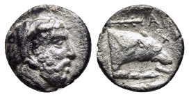 KINGS of MACEDON. Archelaos (413-400/399 BC). Diobol. Aigai. 

Obv: Bearded head of Herakles to right, wearing lion's skin headdress. 
Rev: APΧ Forepa...