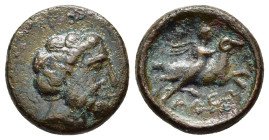 THESSALY. Halos. Ae (3rd century BC). 

Obv: Laureate head of Zeus right.
Rev: ΑΛΕΩ-Ν
Phrixos, nude but for cloak billowing behind him, clinging to ne...