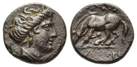 THESSALY. Larissa. Ae Chalkous (Late 4th-early 3rd century BC).

Obv: Head of the nymph Larissa right.
Rev: ΛΑΡIΣ / AIΩN.
Horse standing left, prepari...