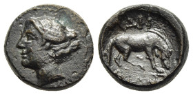 THESSALY. Larissa. Ae (late 4th-early 3rd centuries BC). 

Obv: Head of the nymph Larissa left.
Rev: ΛAPIΣ/AIΩN
Horse standing right, preparing to lie...