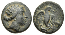 EUBOIA. Chalkis. Ae (circa 170-146 BC).

Obv: Head of Hera right, wearing pearl diadem.
Rev: Eagle flyin gupward, head right, clutching serpent in bea...