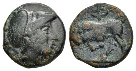 PHLIASIA. Phlious. Ae (circa 350-325 BC). 

Obv: Helmeted head of Athena right.
Rev: Bull butting left, head facing; Φ above.

BCD Peloponnesos 130. H...