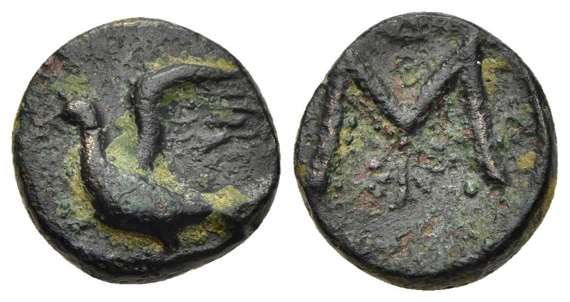 SIKYONIA. Sikyon. Ae (circa 365/345-335/30 BC). 

Obv: Dove flying left.
Rev: La...