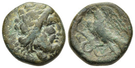 ELIS. Olympia. Ae (mid 3rd century BC). 

Obv: Laureate head of Zeus right.
Rev: Eagle, with spread wings, grasping in talons coiled serpent to left. ...