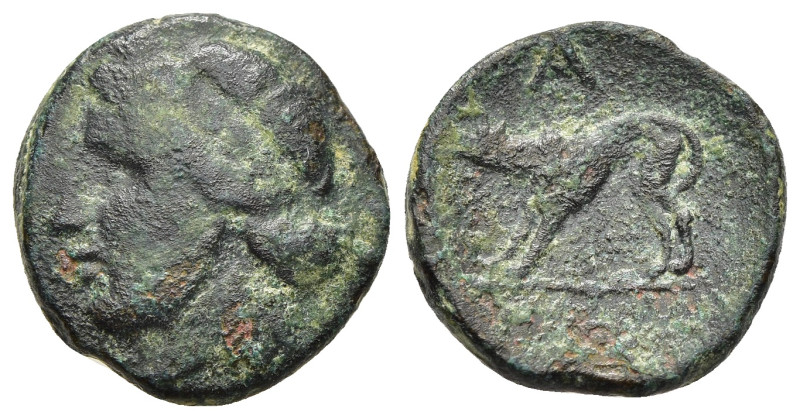 ARGOLIS. Argos. Ae (circa 260-195 BC).

Obv: Laureate head of Apollo left.
Rev: ...
