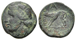 ARGOLIS. Argos. Ae (circa 260-195 BC).

Obv: Laureate head of Apollo left.
Rev: Wolf at bay standing left; above, A.

BCD Peloponnesos1128. HGC 5, 701...