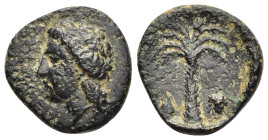 ARGOLIS. Halieis. Ae, struck under the Tirynthians (circa 340-330 BC).

Obv: Laureate head of Apollo to left.
Rev: T-I. Palm tree between chelys to le...