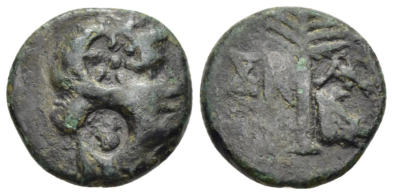 TROAS. Skamandria. Ae (Circa 350-300 BC).

Obv: Wreathed head of nymph Ida right...