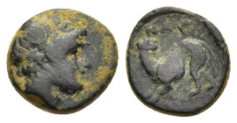 LESBOS. Nesos/Nasos Pordosilene. Ae (3rd-2nd centuries BC). In the name of the Nasiotes.

Obv: Laureate head of Apollo right.
Rev: ΝΑΣI
Panther crouch...