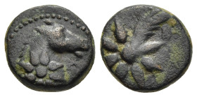CAPPADOCIA. Caesarea (as Eusebeia). AE Chalkous, struck under Archelaus ?, (circa 36-17 BC).

Obv: Horse head to right with eight-pointed star below.
...