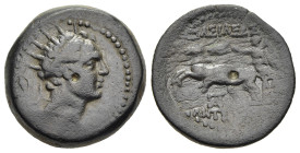 SELEUKID KINGS. Antiochos IV Epiphanes (175-164 BC). Ae. Ptolemaïs (Ake) or Askalon.

Obv: Radiate and diademed head of Antiochos IV right.
Rev: ΒΑΣΙΛ...