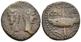 GAUL. Nemausus. Augustus, with Agrippa (27 BC-14 AD). Ae.

Obv: IMP / P - P / DIVI F.
Heads of Agrippa, wearing combined rostral crown and laurel wrea...
