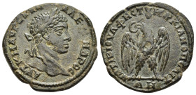 MOESIA INFERIOR. Marcianopolis. Severus Alexander (222-235). Ae. Tiberius Julius Festus, legatus consularis.

Obv: AVT K M AVP CEVH AΛEZANΔPOC
Laureat...