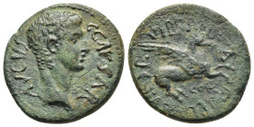 CORINTHIA. Corinth. Caligula (37-41). AE, struck under P. Vipsanius Agrippa, duovir.

Obv: C CAESAR AVGVST.
Bare head right.
Rev: P VIPSANO AGRIPPA II...