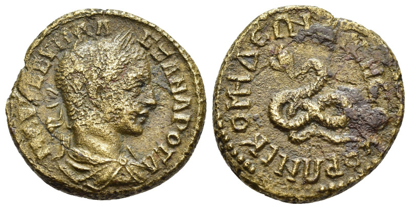 BITHYNIA. Nicomedia. Severus Alexander (222-235). Ae.

Obv: Μ ΑΥΡ ϹΕΥΗ ΑΛΕΞΑΝΔΡΟ...