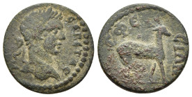 IONIA. Ephesos. Geta (209-211 ). Ae.

Obv: [...] ΓETAC 
Laureate head right.
Rev: EΦEΣIΩN
Stag standing right.

Karwiese, Ephesos V, 578.

From the St...