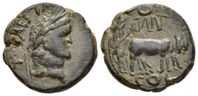 PISIDIA. Antioch. Titus (Caesar, 69-79). Ae.

Obv: T CAES IMP PONT.
Laureate head right.
Rev: ANT / COL.
Founder plowing right, with yoke of oxen; cre...