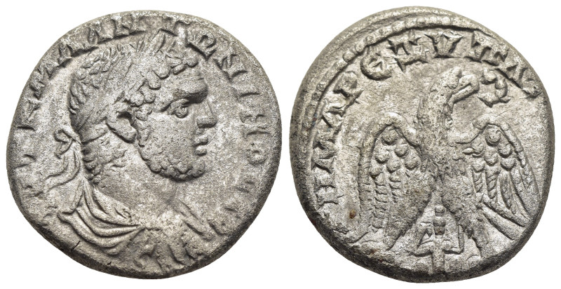 PHOENICIA. Ace-Ptolemais. Caracalla, 198-217. Tetradrachm. 

Obv: ΑΥΤ Κ Μ Α ΑΝΤΩ...