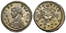 PROBUS (276-282). Antoninianus. Rome.

Obv: IMP PROBVS AVG.
Radiate and mantled bust left, holding eagle-tipped scepter.
Rev: SOLI INVICTO / R(star)E....
