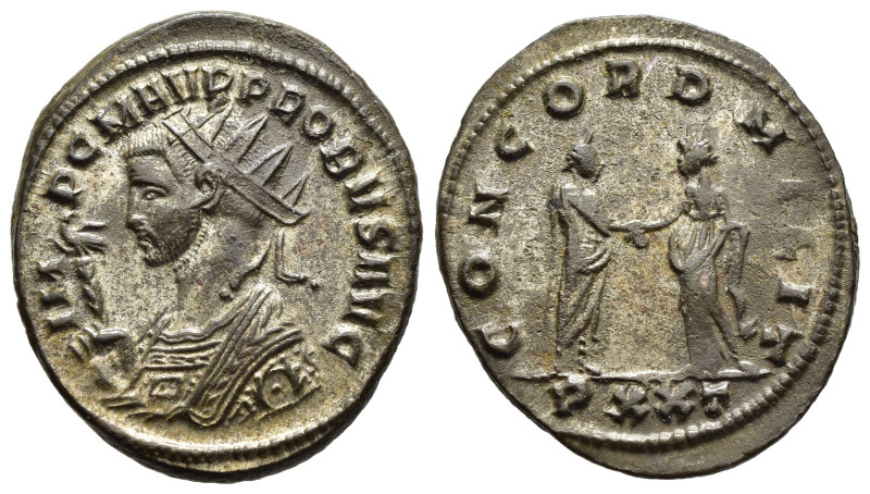 PROBUS (276-282). Antoninianus. Ticinum.

Obv: IMP C M AVR PROBVS AVG.
Radiate a...