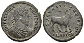 JULIAN II the PHILOSOPHER (361-363). Double Maiorina. Heraclea.

Obv: DN FL CL IVLIANVS PF AVG.
Diademed, draped and cuirassed bust right.
Rev: SECVRI...