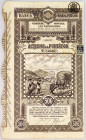 Romania Banca Cerealistilor SA Bucharest Share for 500 Lei 1919
53533; Purple, brown, revenue stamp, stamps, some coupons remaining, 2 cm tear, brown...