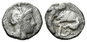 Calabria, Tarentum Diobol circa 323-281 (Starting Bid £ 1)
