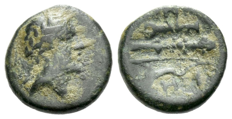 Lucania, Heraclea Bronze circa 280-150, Æ 11.00 mm., 1.14 g.

About VF
